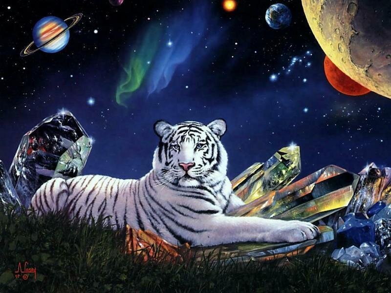 White Tiger in Space — Blue