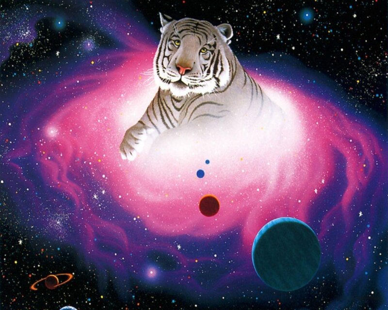 White Tiger in Space — Pink