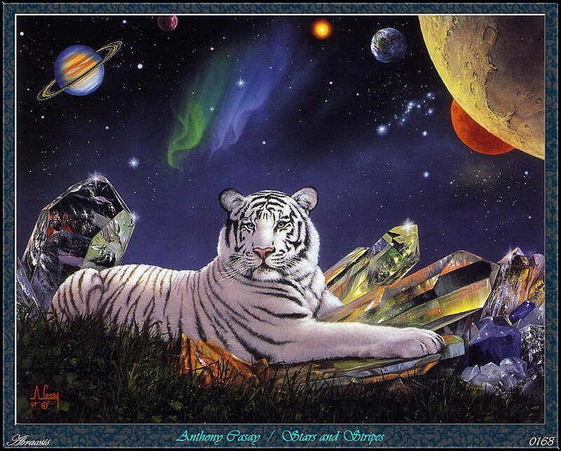 White Tiger in Space — Purple