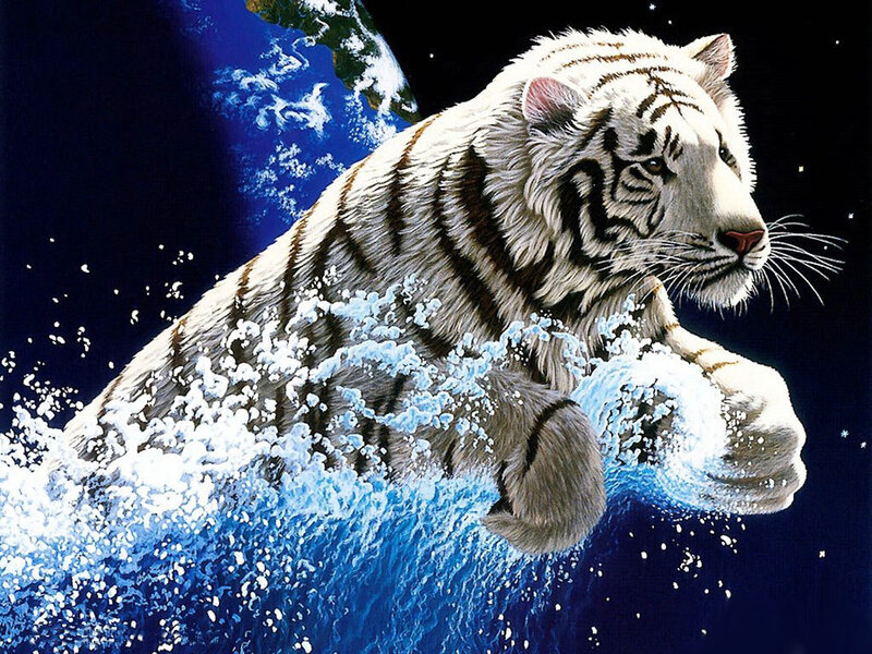White tiger in space