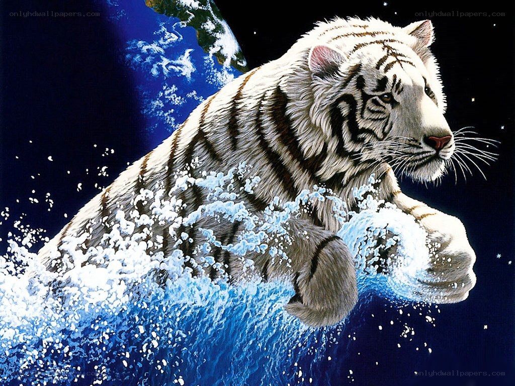 White tiger in space