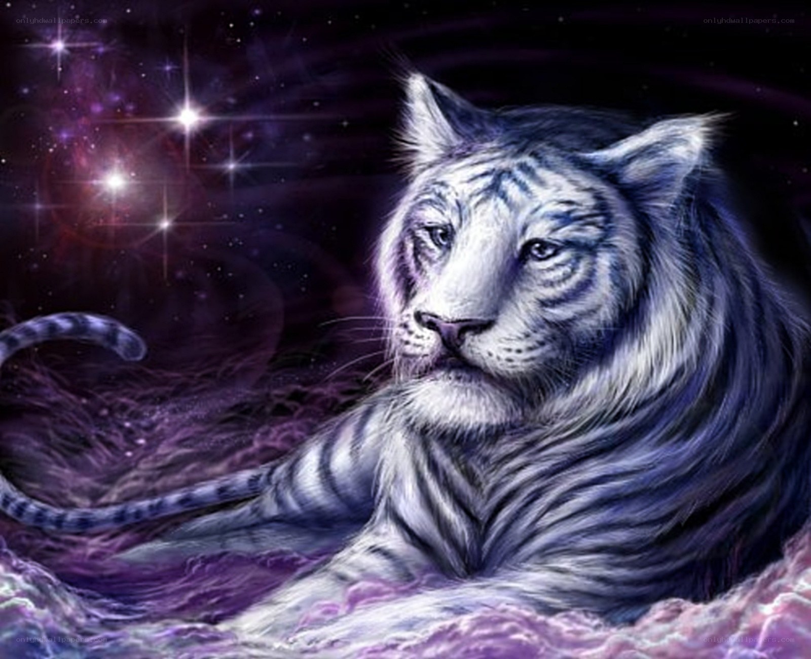 white tiger in starry sky