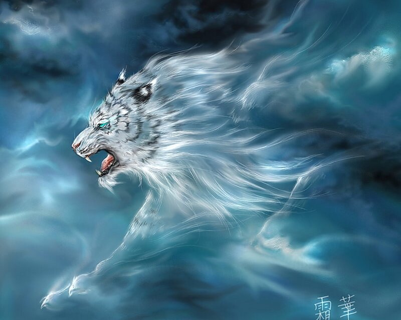 White Tiger in Storm — Dramatic