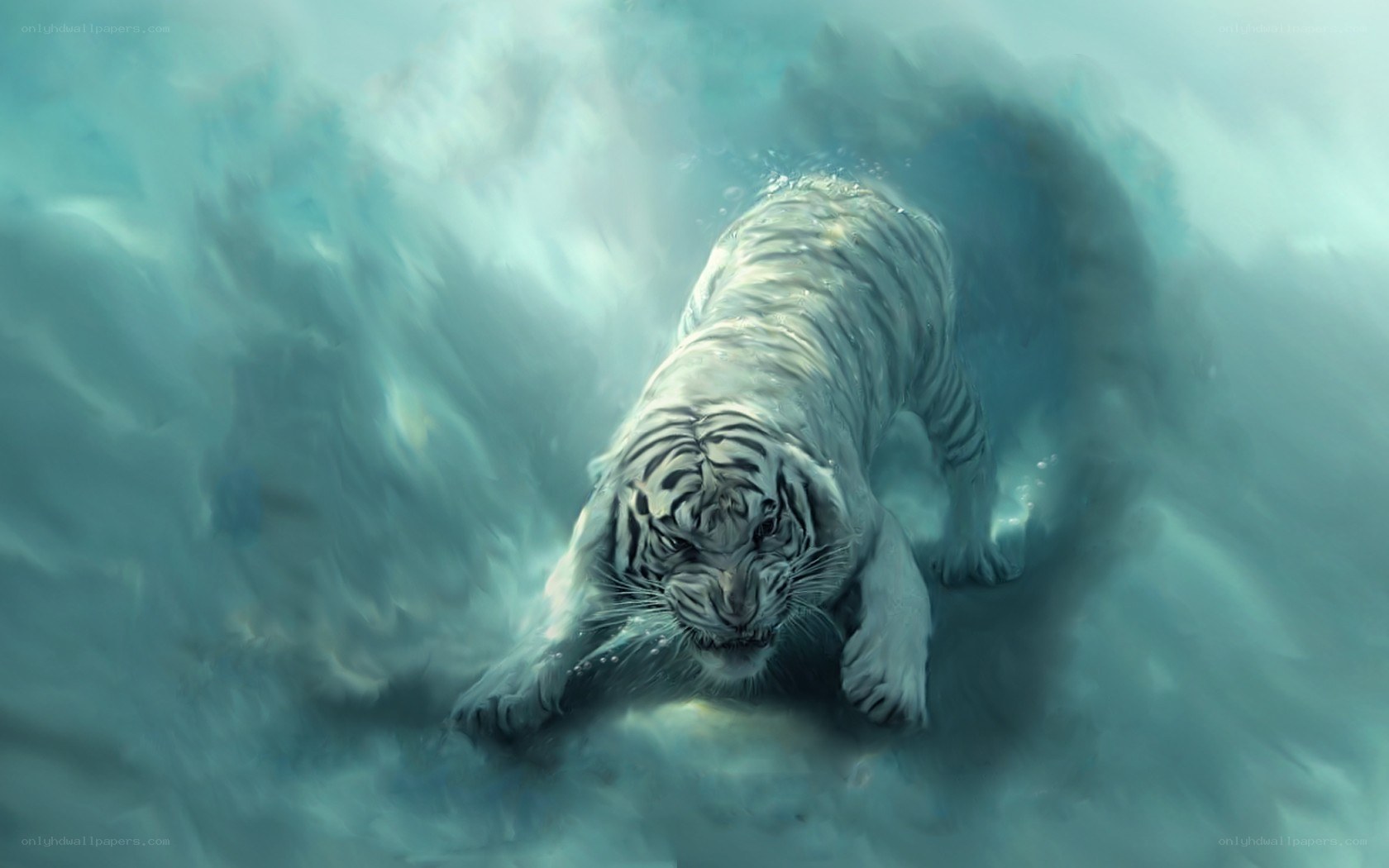 White tiger in stormy water