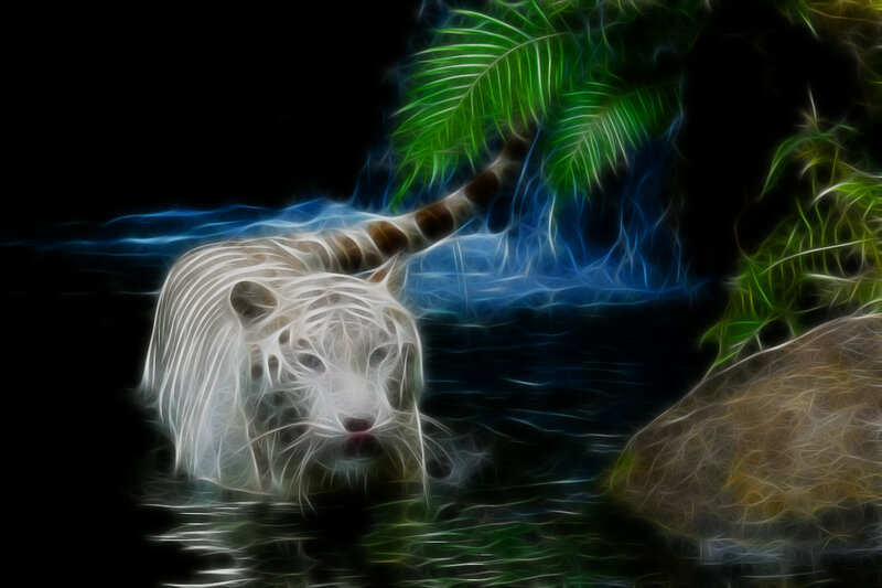 White Tiger in Water — Black, Dramatic, Night, Digital Art
