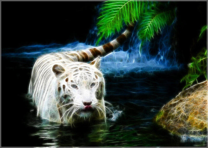 White Tiger in Water — Black, Dramatic