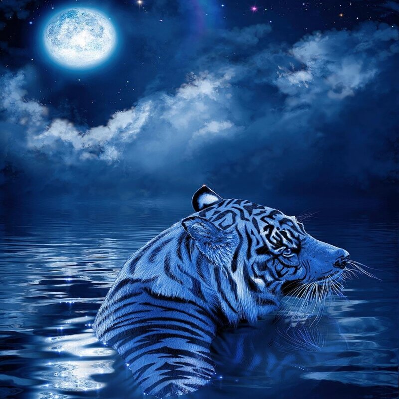 White Tiger in Water — Blue, Serene