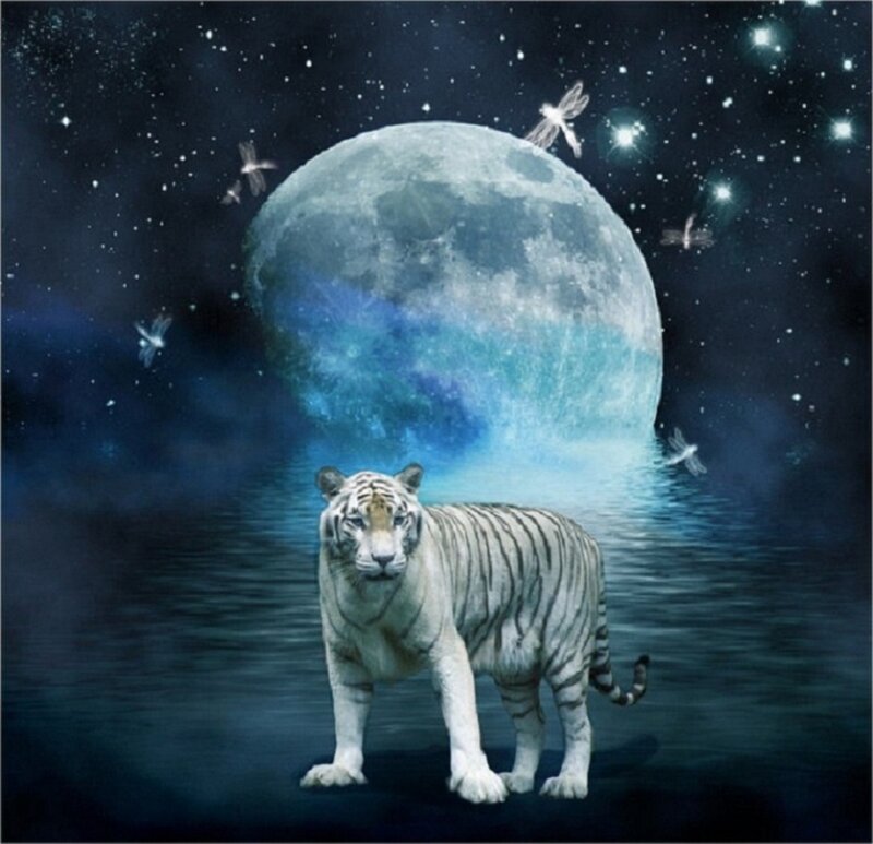 White Tiger in Water — Blue