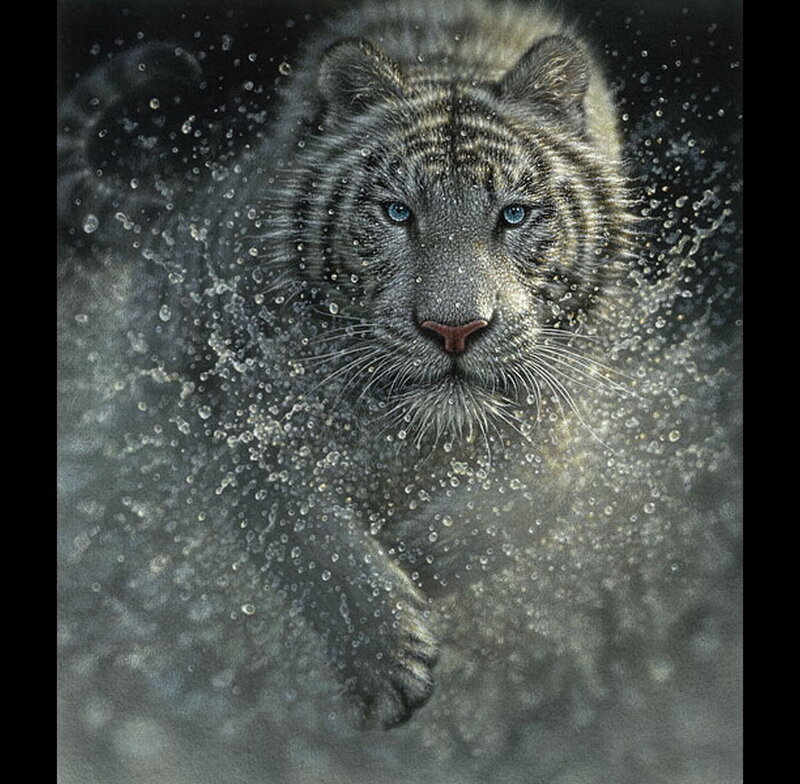 White Tiger in Water — Gray, Dramatic, Digital Art