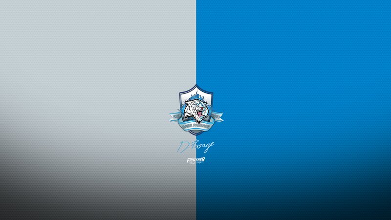 White Tiger Logo