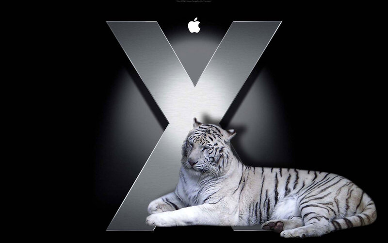 White Tiger Lying Down — Black, Dramatic