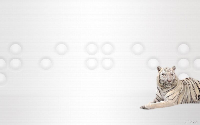 White Tiger Lying Down — Calm, Digital Art, Circles