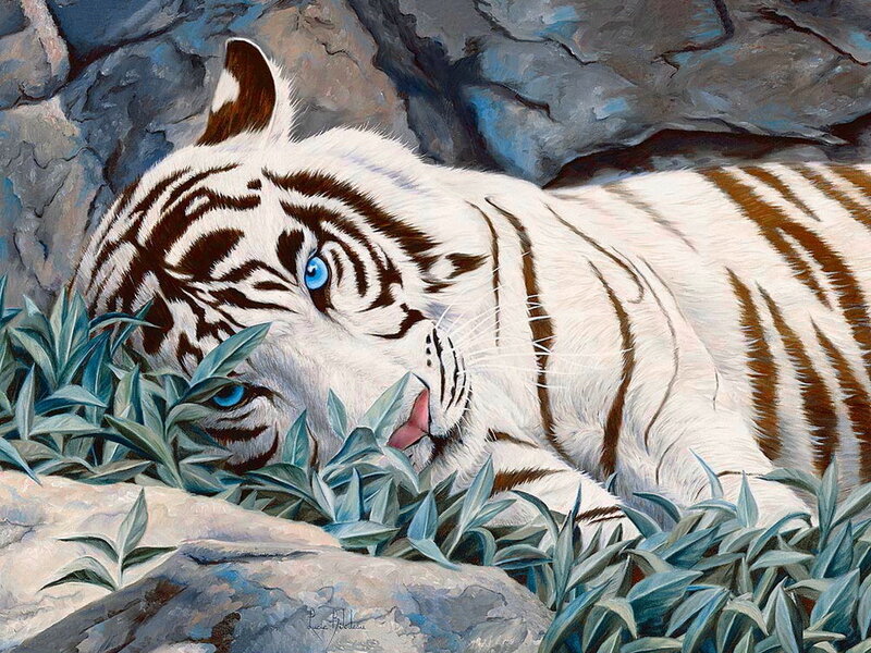 White Tiger Lying Down — Calm, Painting