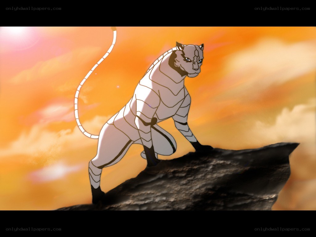 white tiger on a cliff