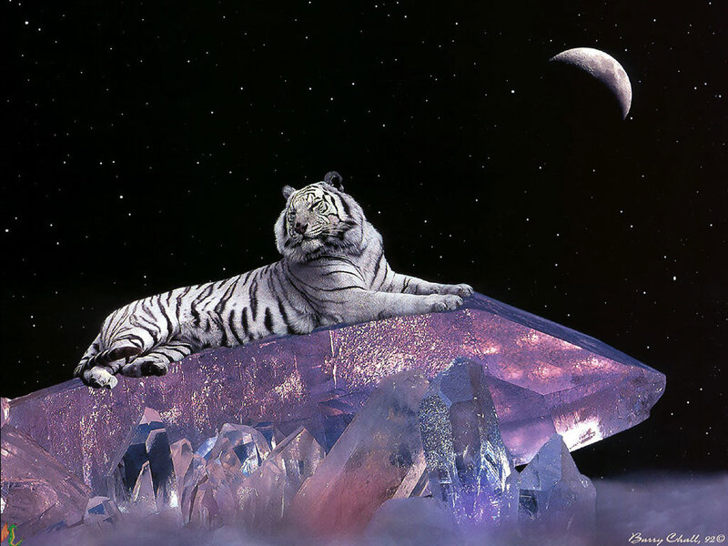 White Tiger on Crystal