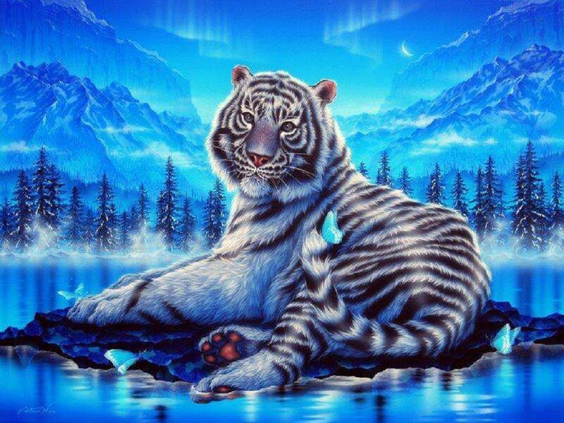 White Tiger on Rock — Blue, Serene, Night