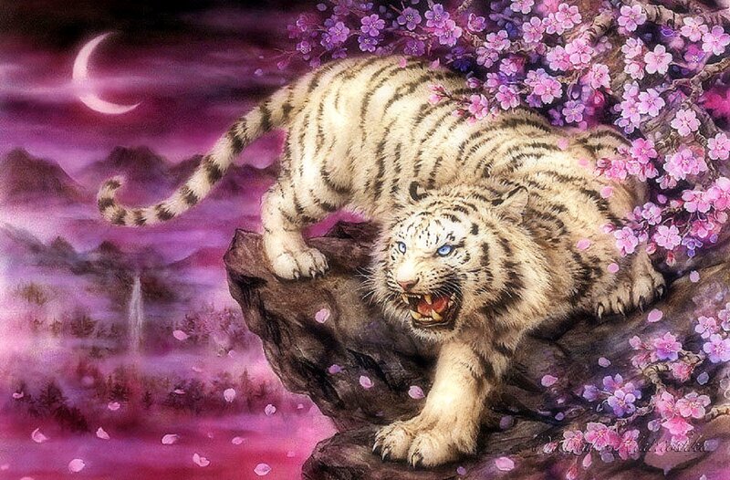White Tiger on Rock — Purple