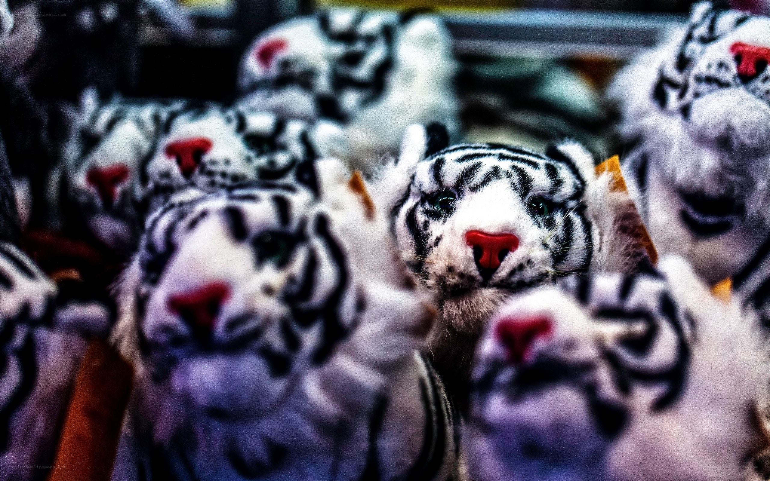White tiger plush toys