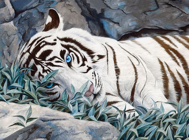 White Tiger Resting — Calm, Painting