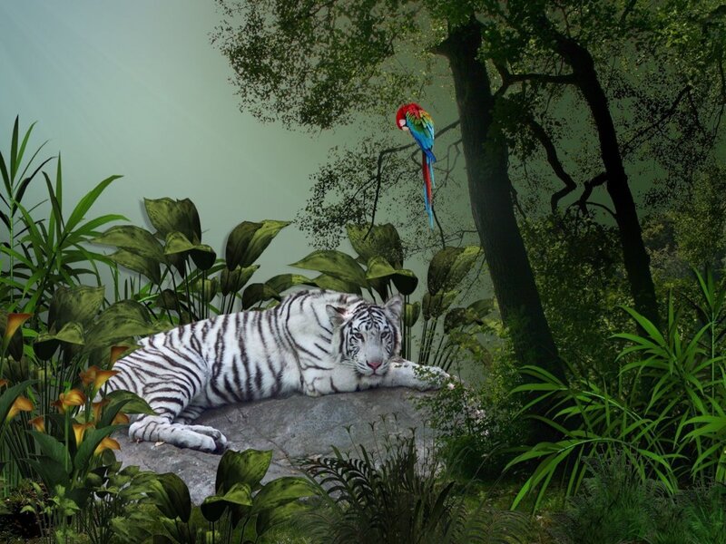 White Tiger Resting — Green, Serene