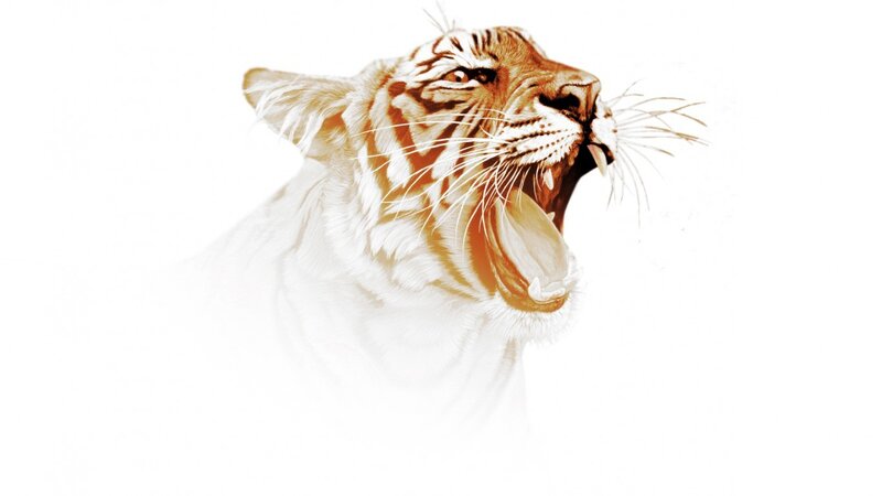 White Tiger Roaring — Dramatic, Illustration