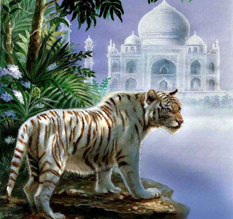 White Tiger Standing — Serene, Painting