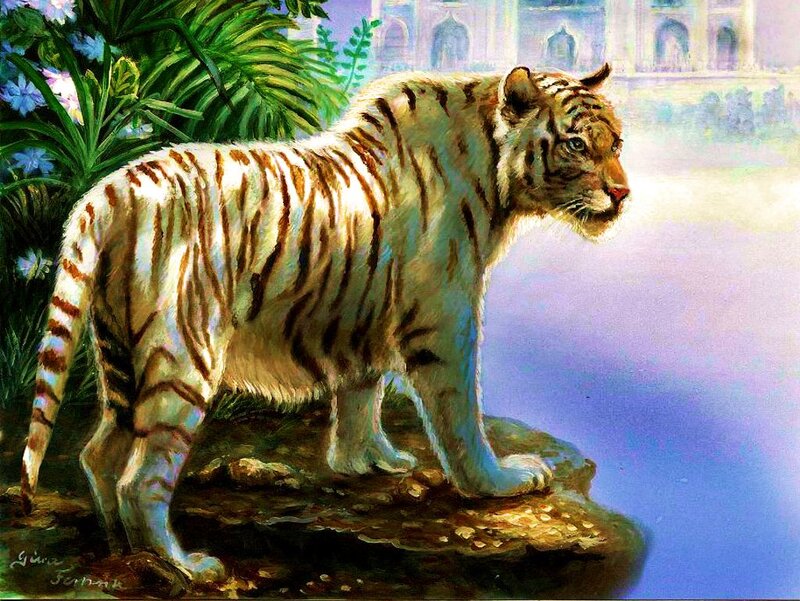 White Tiger Standing — Serene