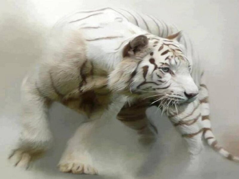 White Tiger Walking — Alert, Digital Art