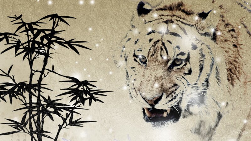 White Tiger with Bamboo