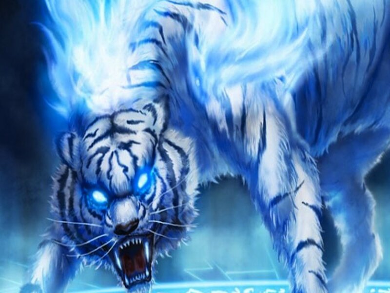 White Tiger with Blue Eyes — Dramatic