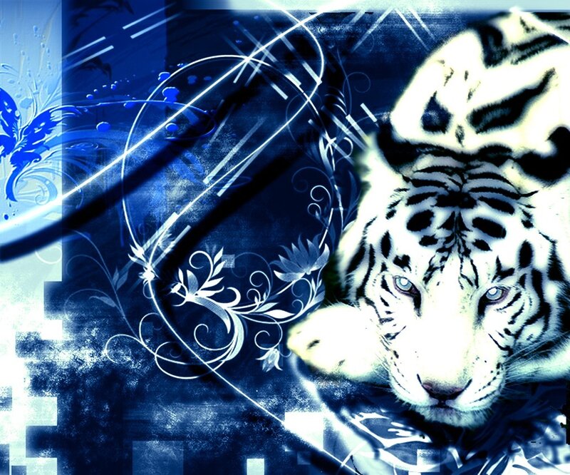 White Tiger with Blue Stripes — Dramatic