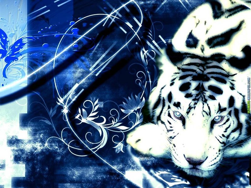 White Tiger with Blue Stripes
