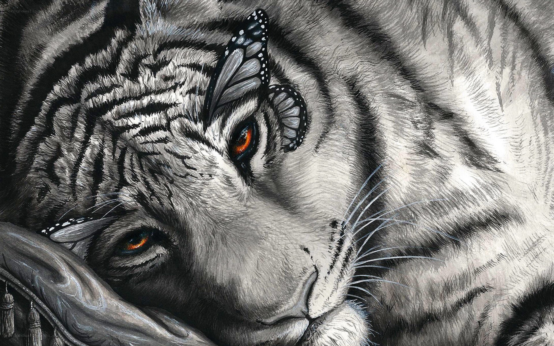 white tiger with butterfly