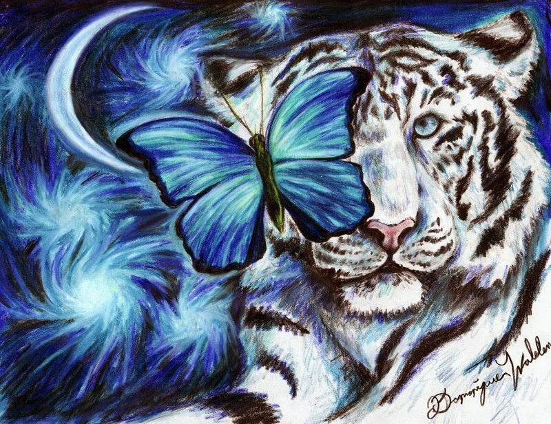 White Tiger with Butterfly — Blue