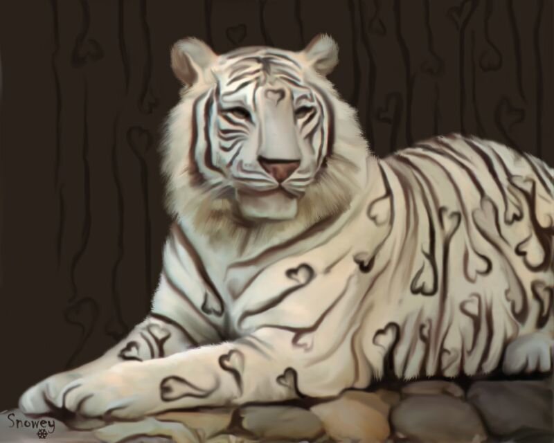 white tiger with heart patterns