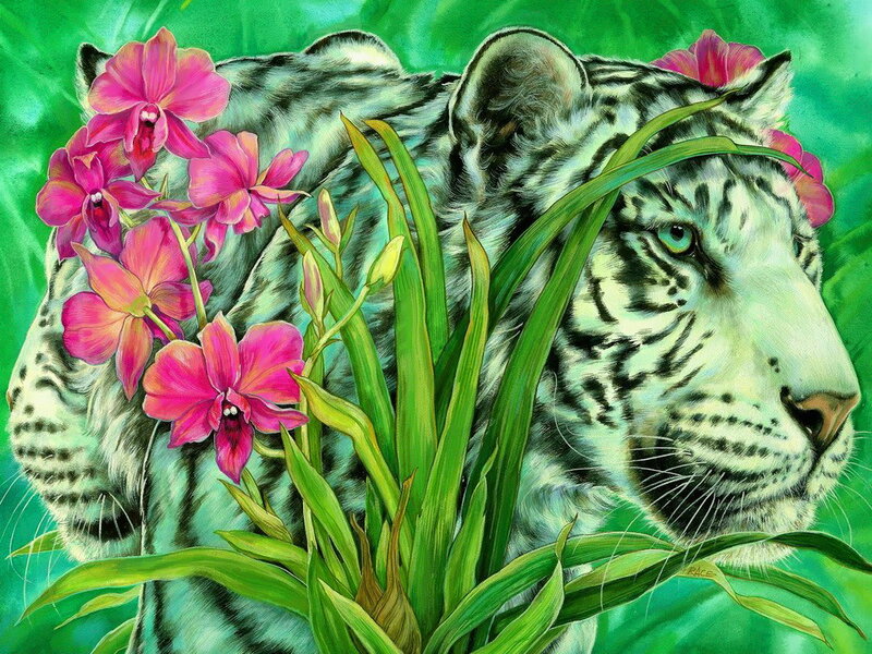 White Tiger with Orchids