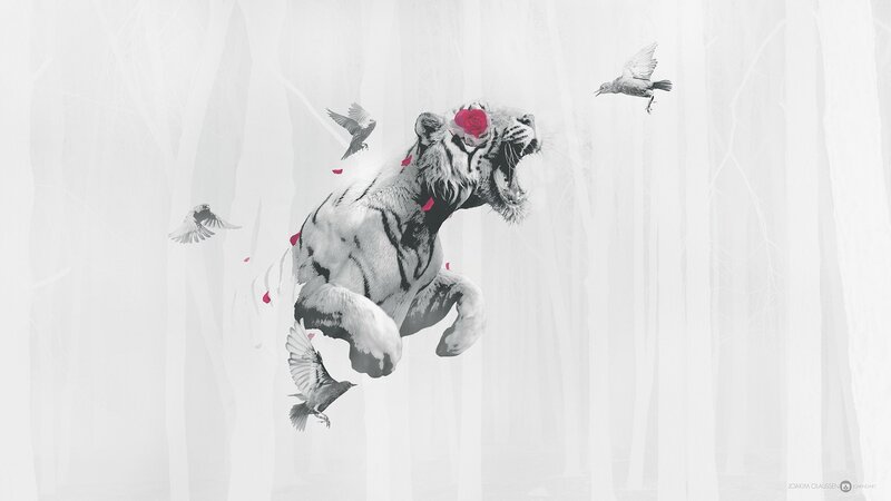 White Tiger with Rose
