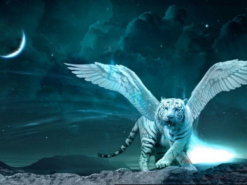 White Tiger with Wings — Teal