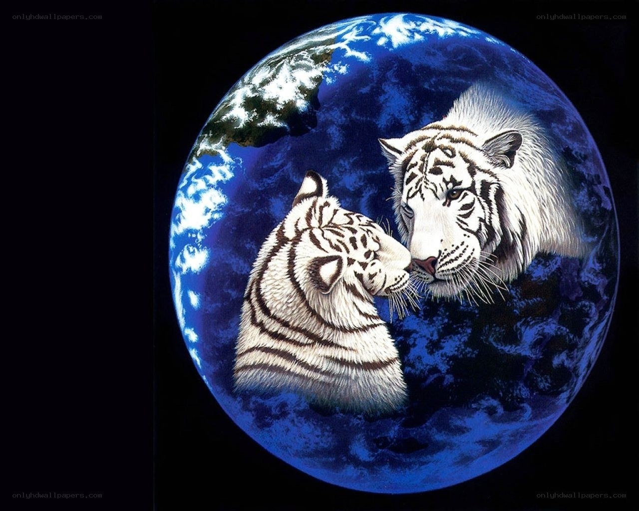 White tigers and Earth