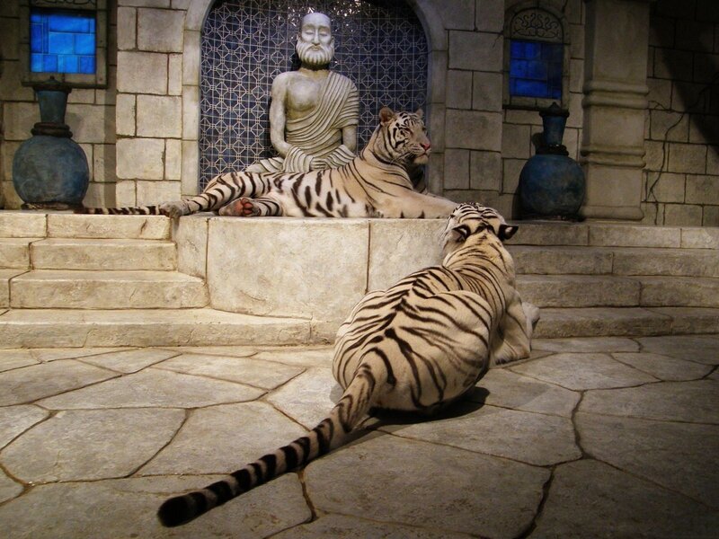 White Tigers and Statue