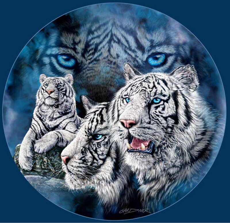 White Tigers in Group — Blue