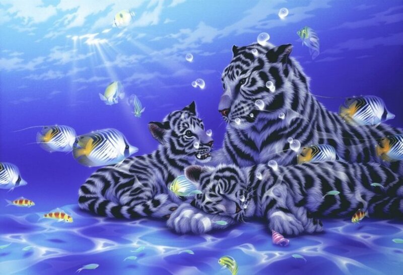 White Tigers Underwater