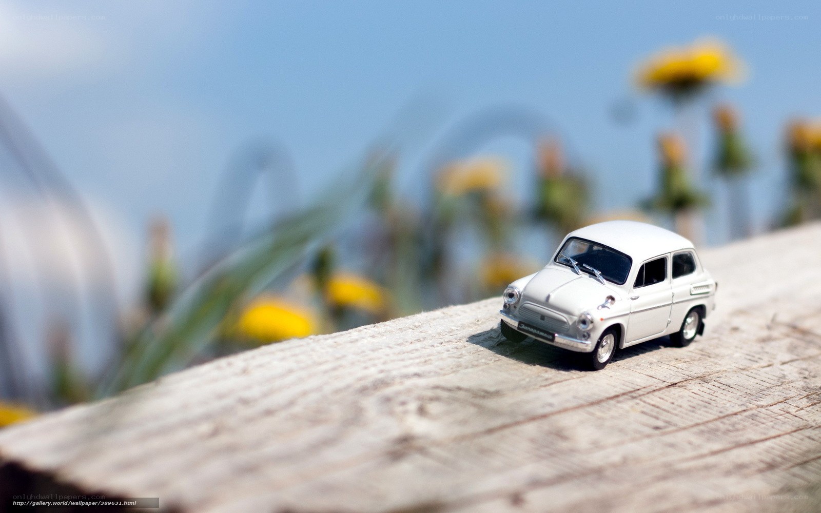 White toy car on wooden surface