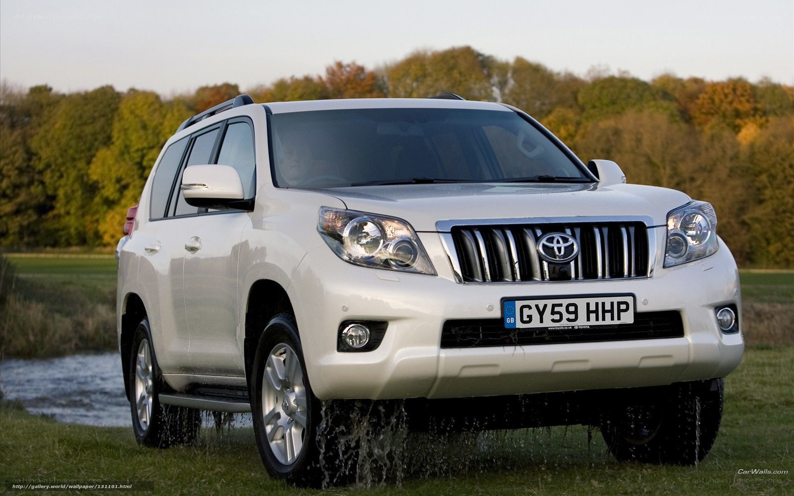 White Toyota Land Cruiser