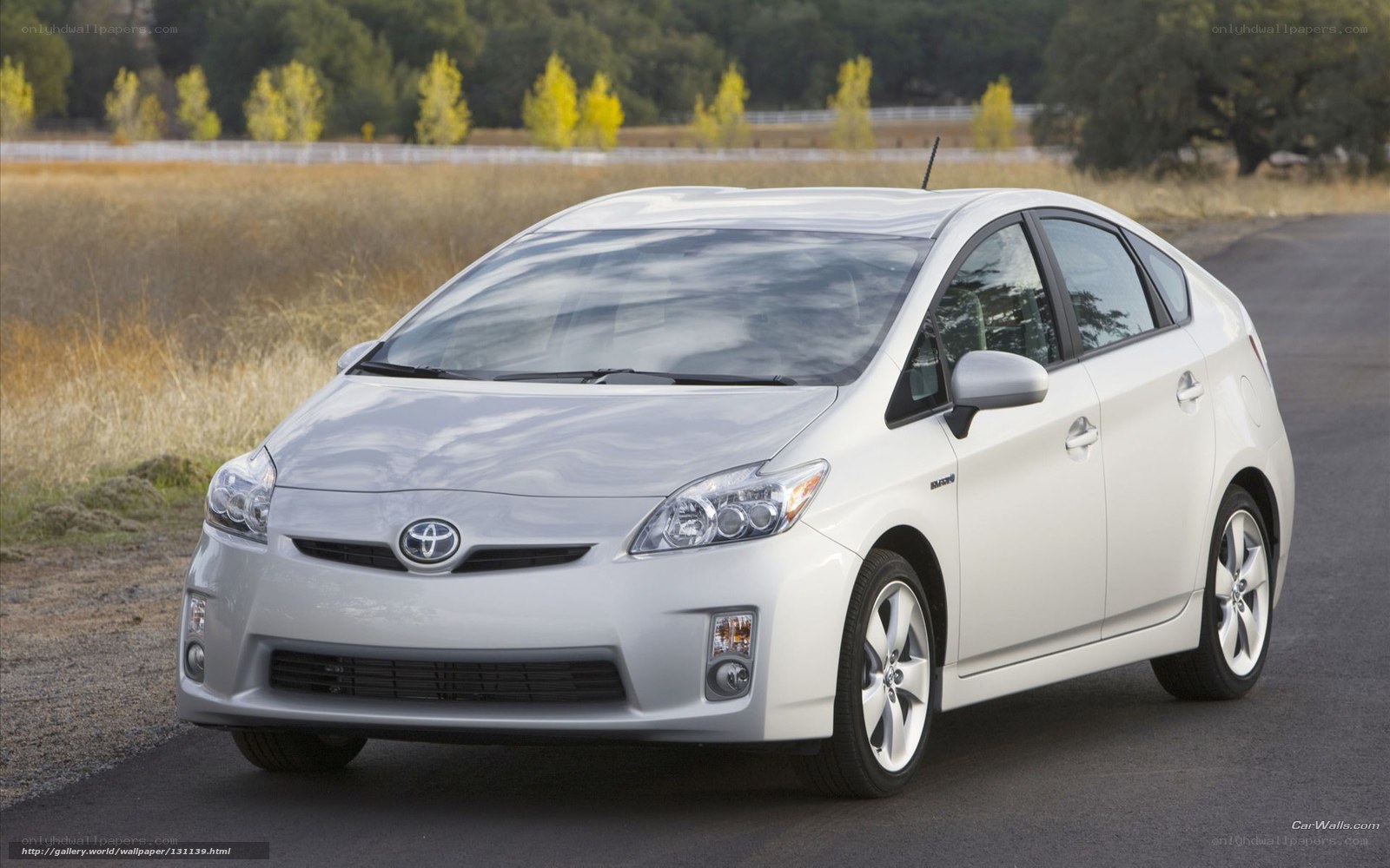 White Toyota Prius on a road