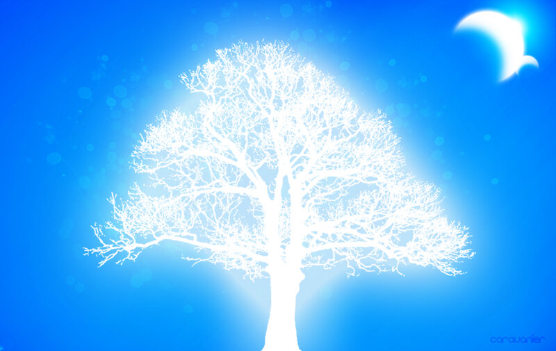 white tree against blue sky