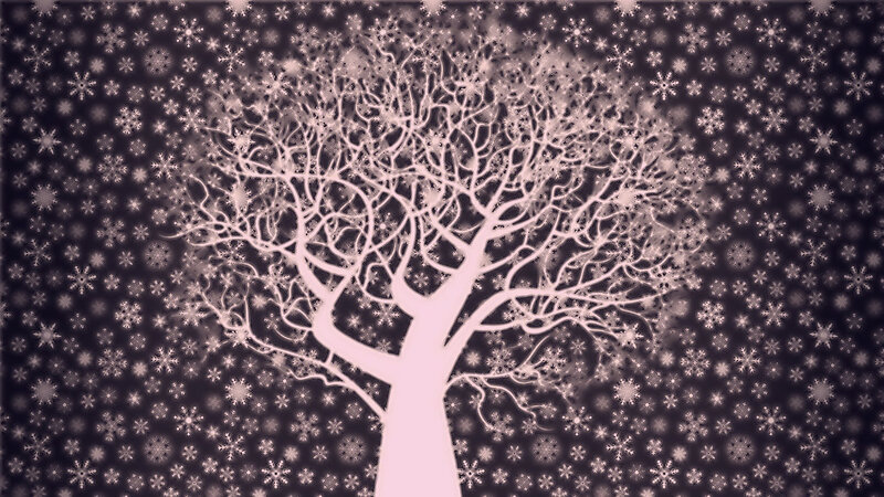 White Tree in Snow — Calm