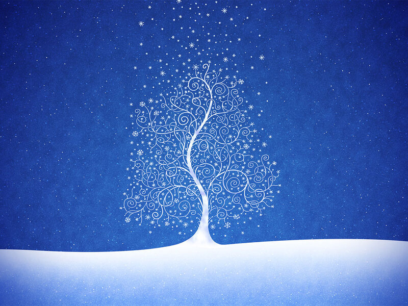 White Tree in Snow