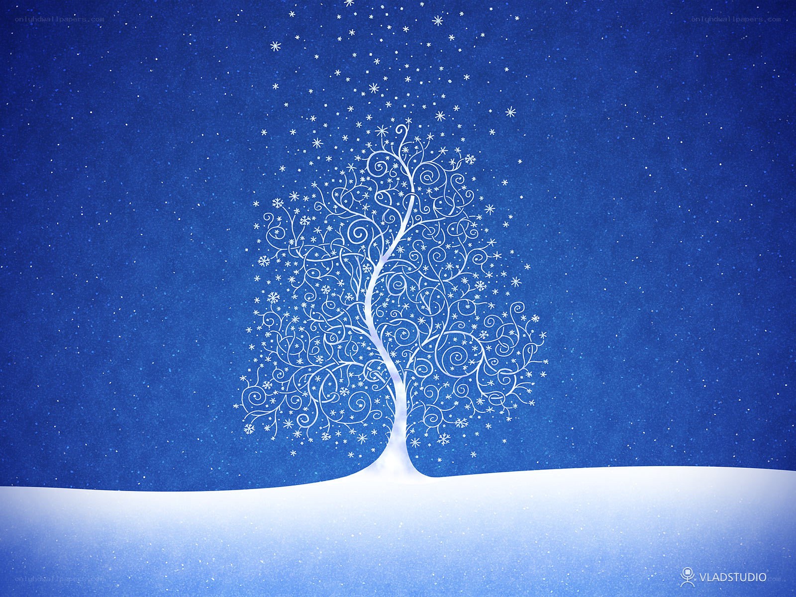 white tree in snowy night