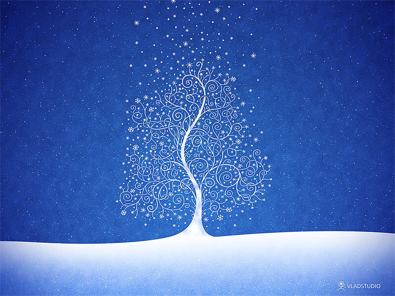 white tree in snowy night